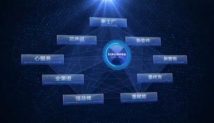 柏克家居全國營銷總監(jiān)吳小星 數(shù)字化轉(zhuǎn)型中的軟件開發(fā)策略